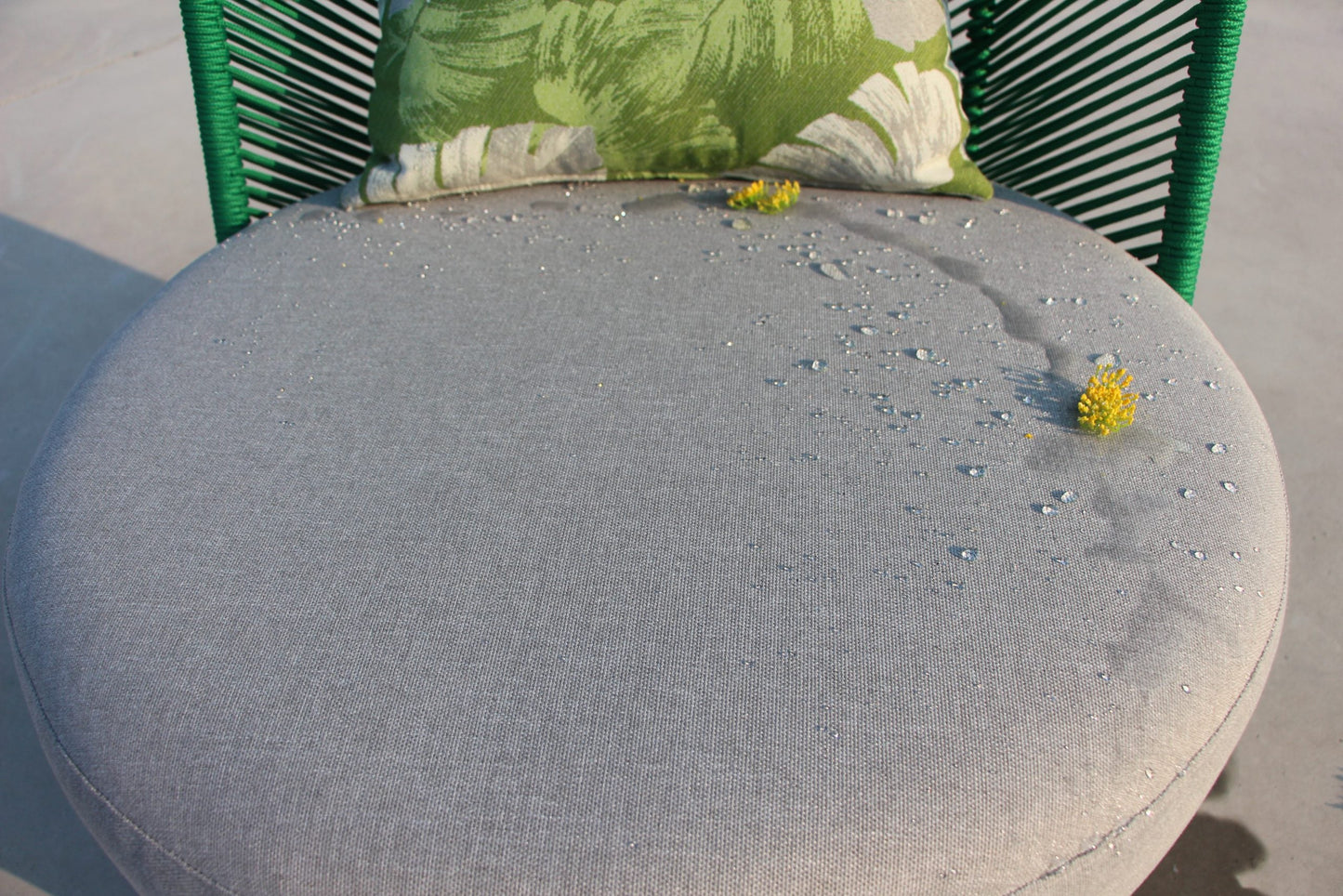 Chaise Basilic